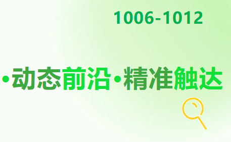 限行！2030年全面建成！